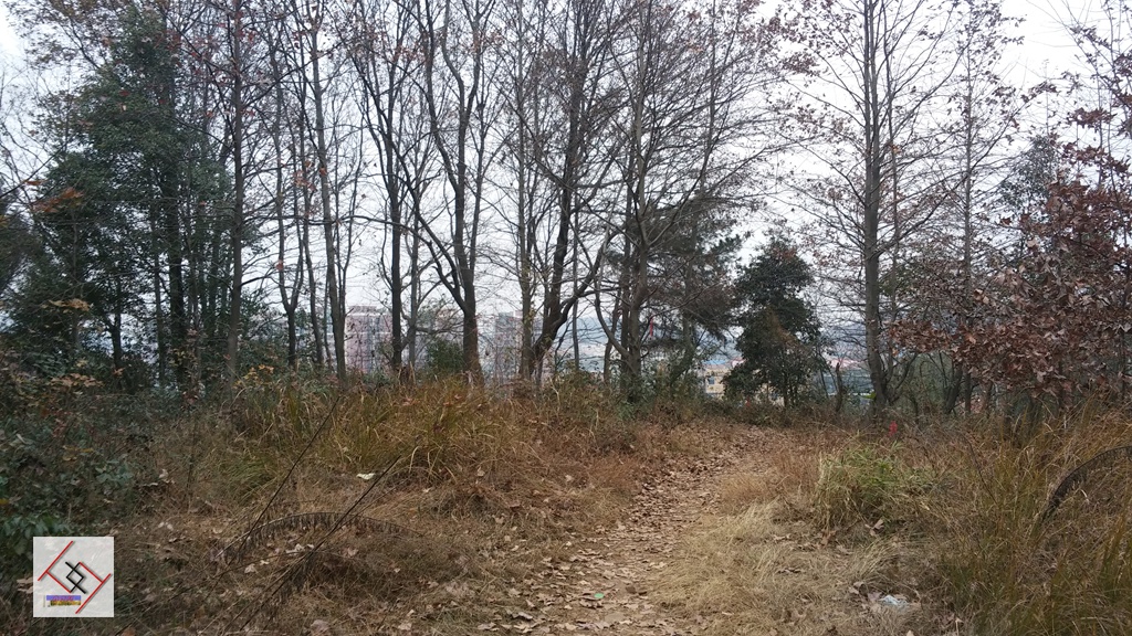 20141227_100924.jpg