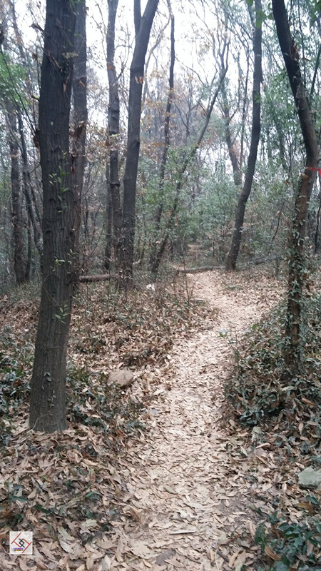 20141227_095308.jpg