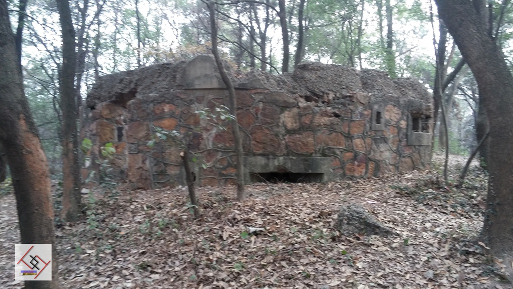 20141227_102755.jpg