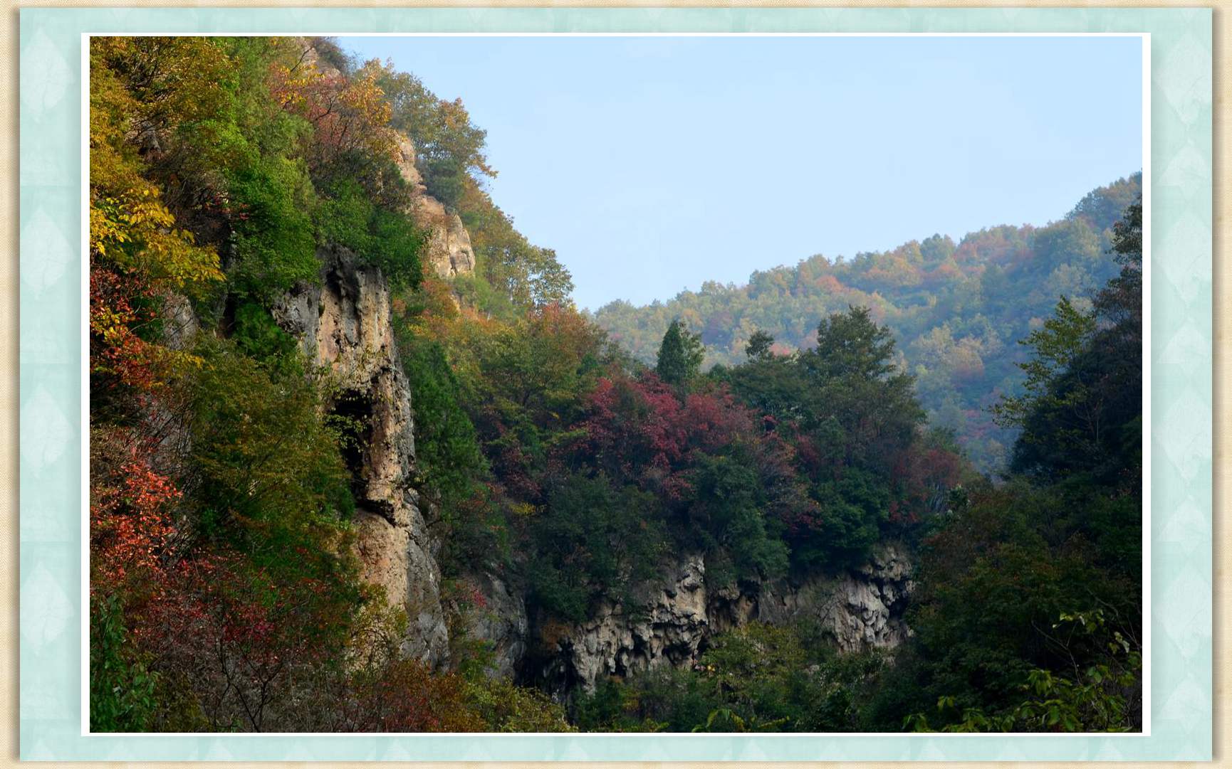dsc_0095a_副本.jpg