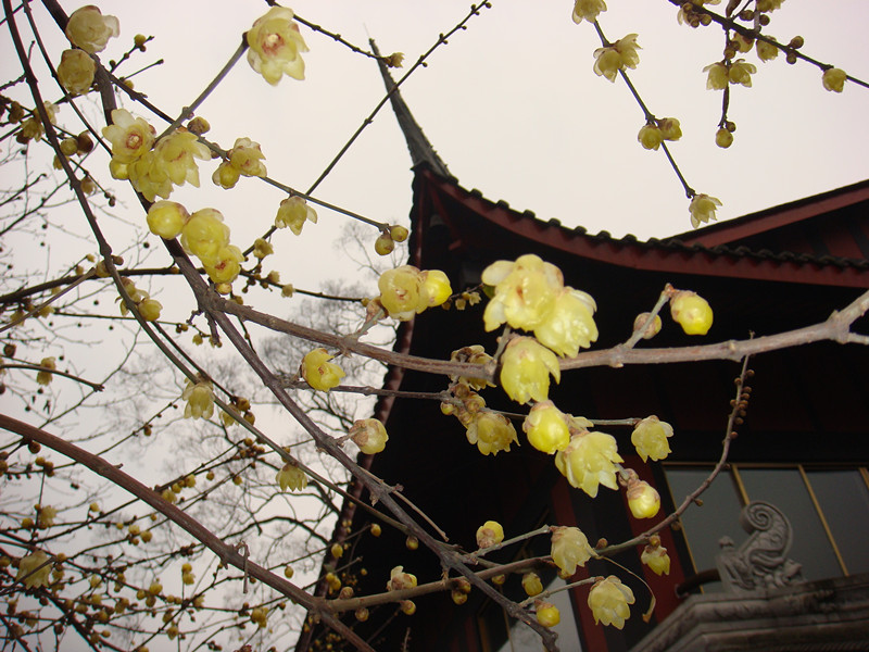dsc00607_副本.jpg