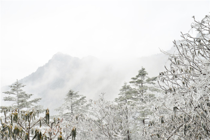 dsc_5356_副本.jpg