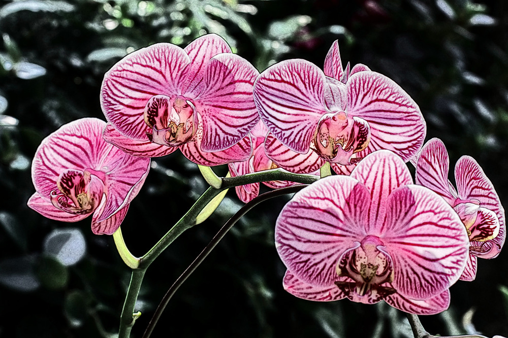 img_9494_.jpg