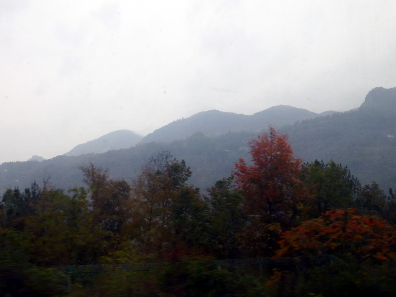 p1280094.jpg