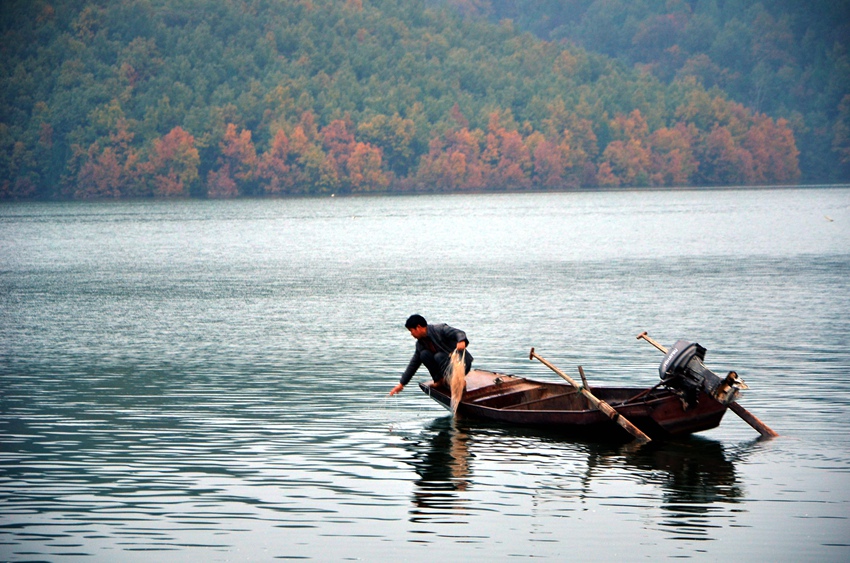 dsc_0488a.jpg