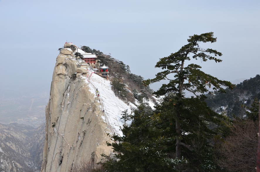 dsc_1264.jpg