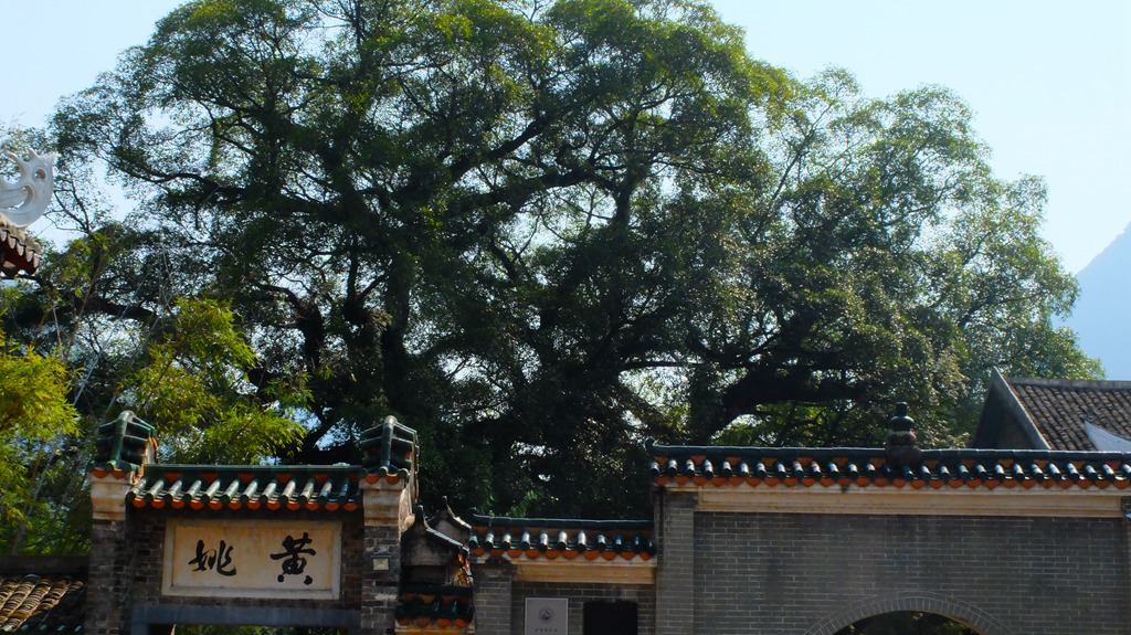dscf3798.jpg