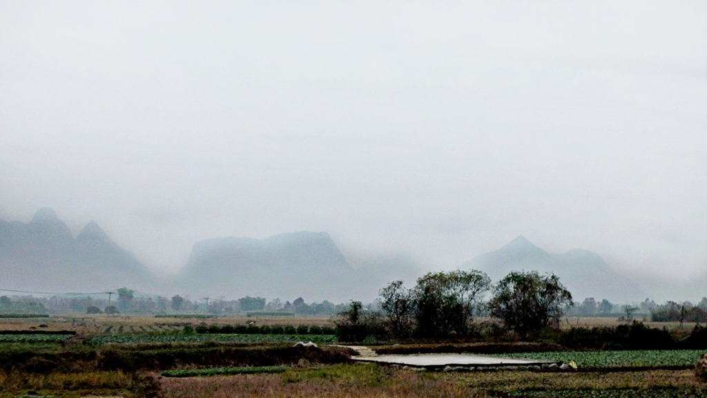 dscf3740.jpg