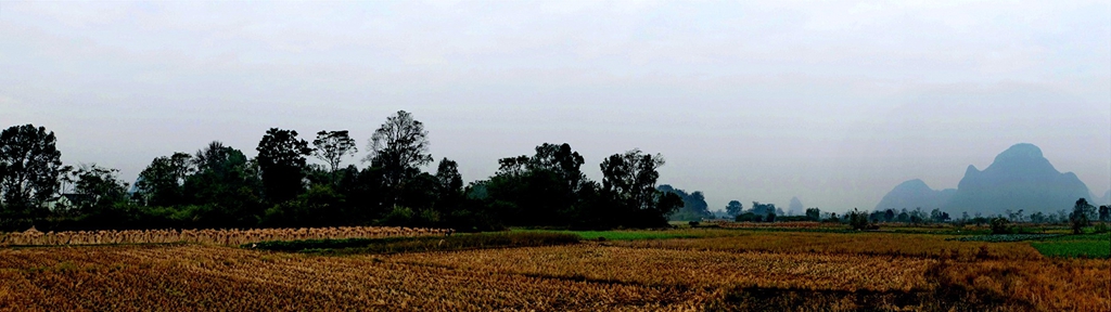 dscf3763.jpg