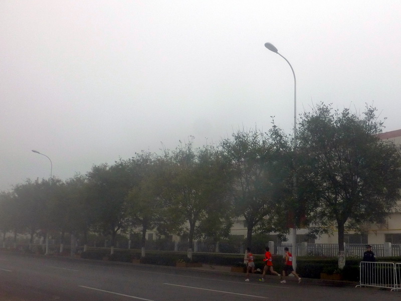 p1270527.jpg
