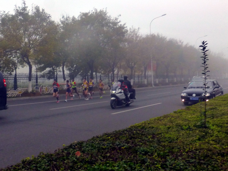p1270531.jpg
