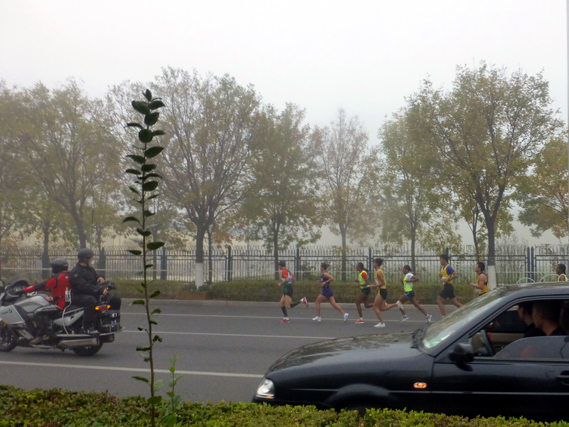 p1270532.jpg