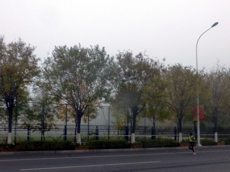p1270535.jpg