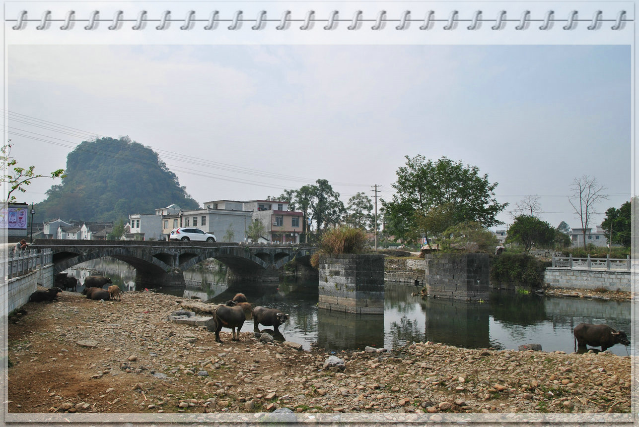 dsc_2915_1.jpg