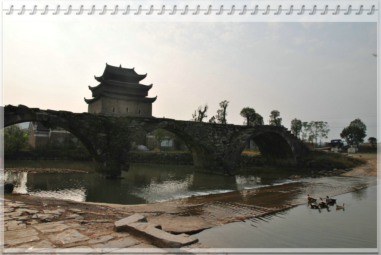 dsc_2950_1.jpg