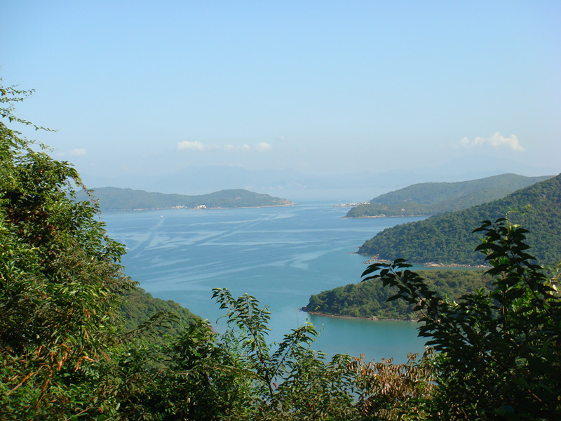 dsc09800_.jpg