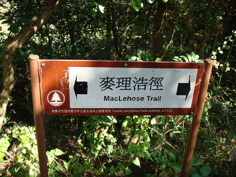 dsc09812_.jpg