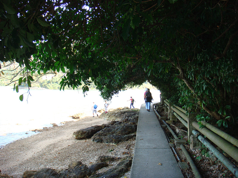 dsc09816_.jpg