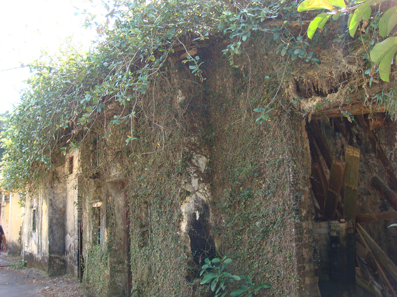 dsc09815_.jpg