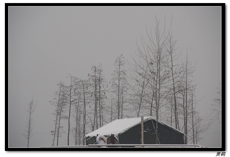 ѩ015.jpg