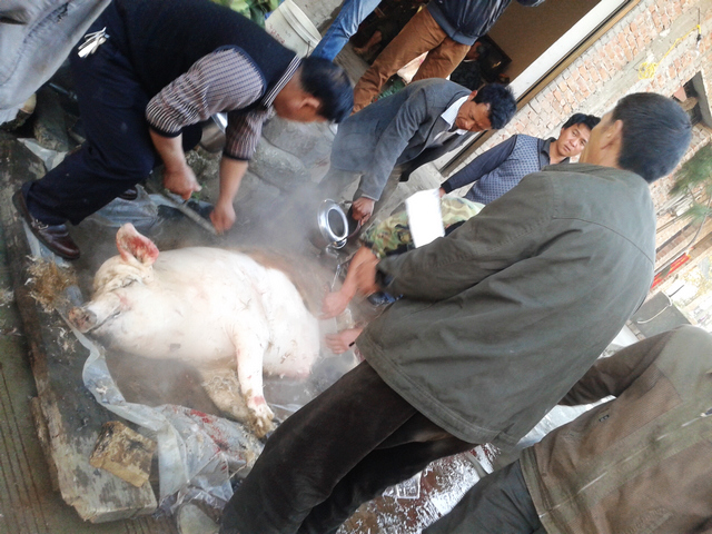 20140203_082730.jpg