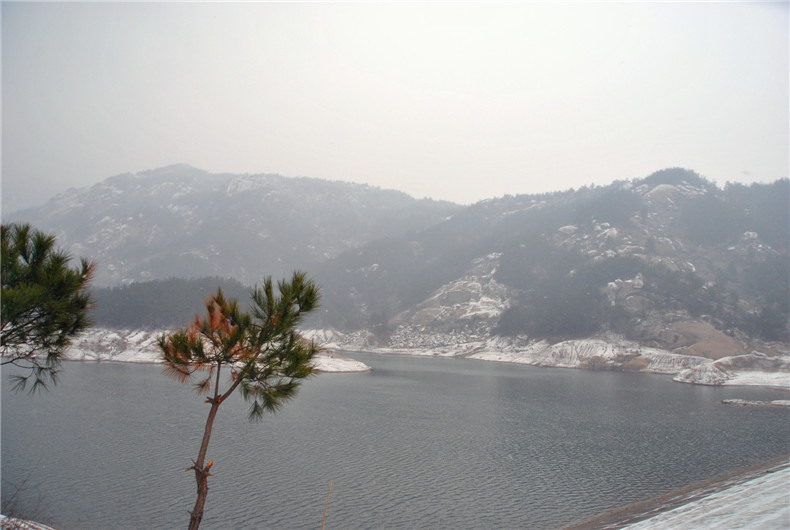 dsc_0036__.jpg