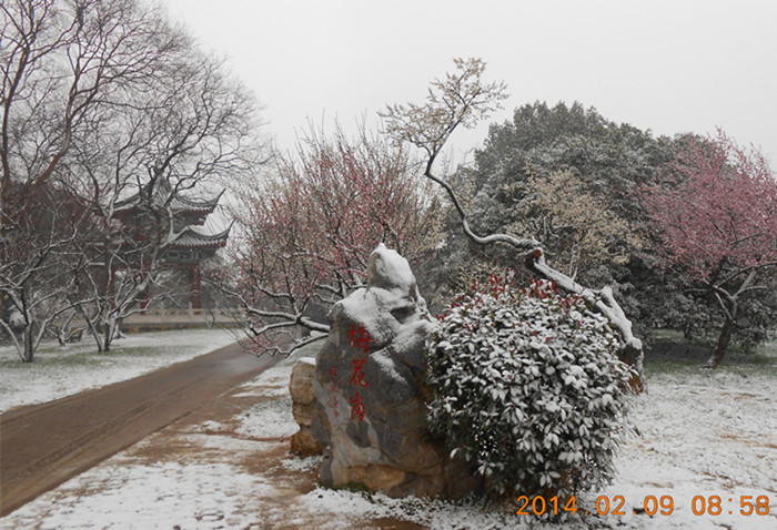 dscn1877.jpg