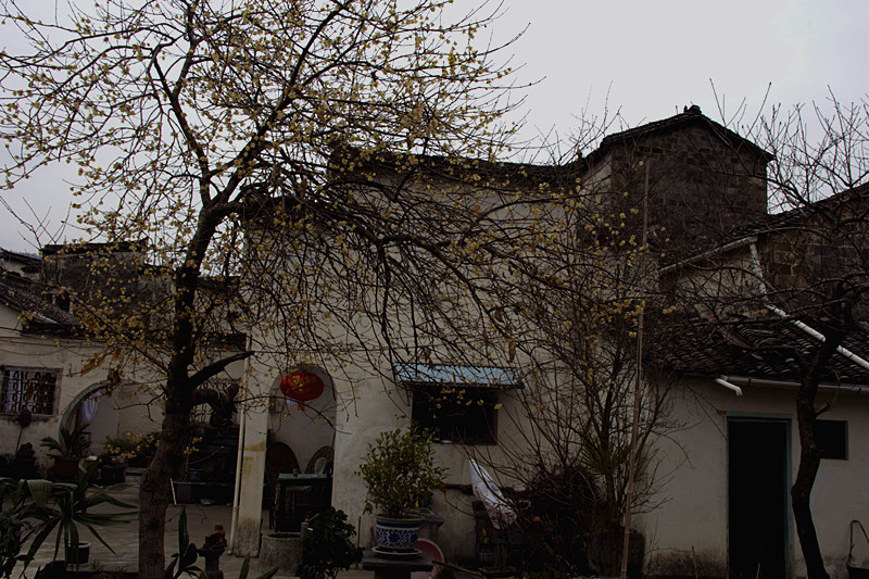 img_5701_.jpg
