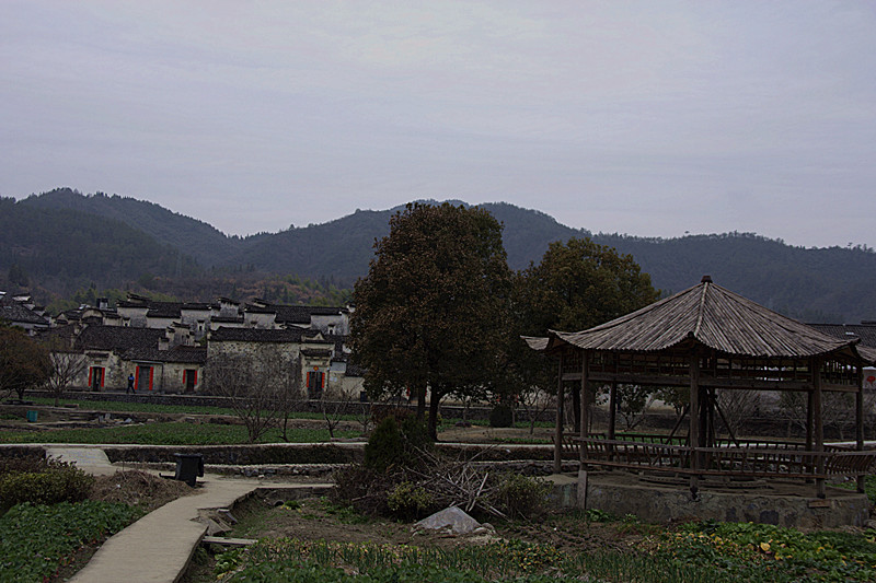 img_5725_.jpg