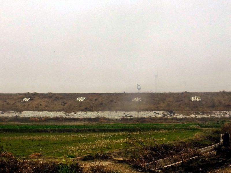 p1170887.jpg