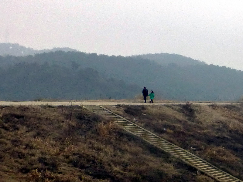 p1170893.jpg