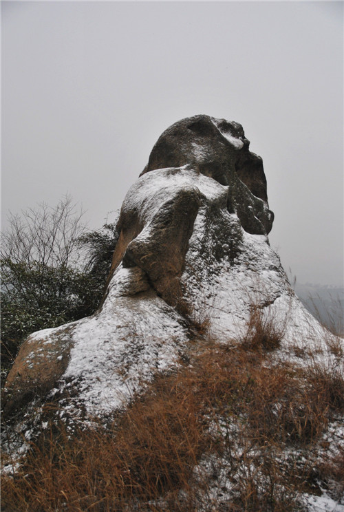 dsc_0175__1.jpg