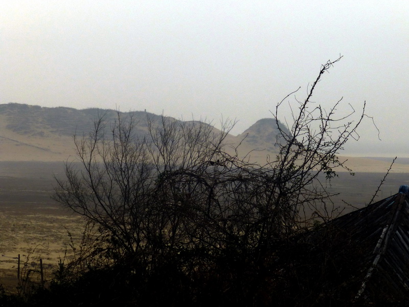 p1170920.jpg