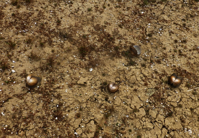 p1170942.jpg