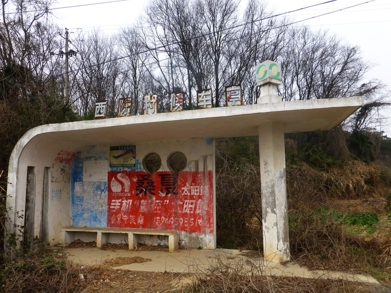 p1180016.jpg