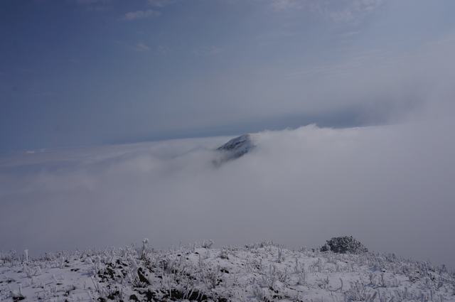 dsc04719.jpg