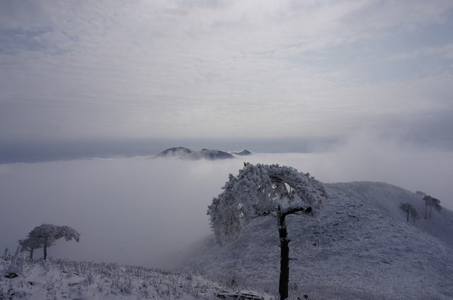 dsc04735.jpg