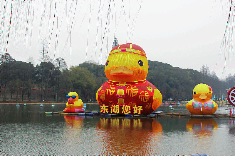 2014chunjieչ 041.jpg