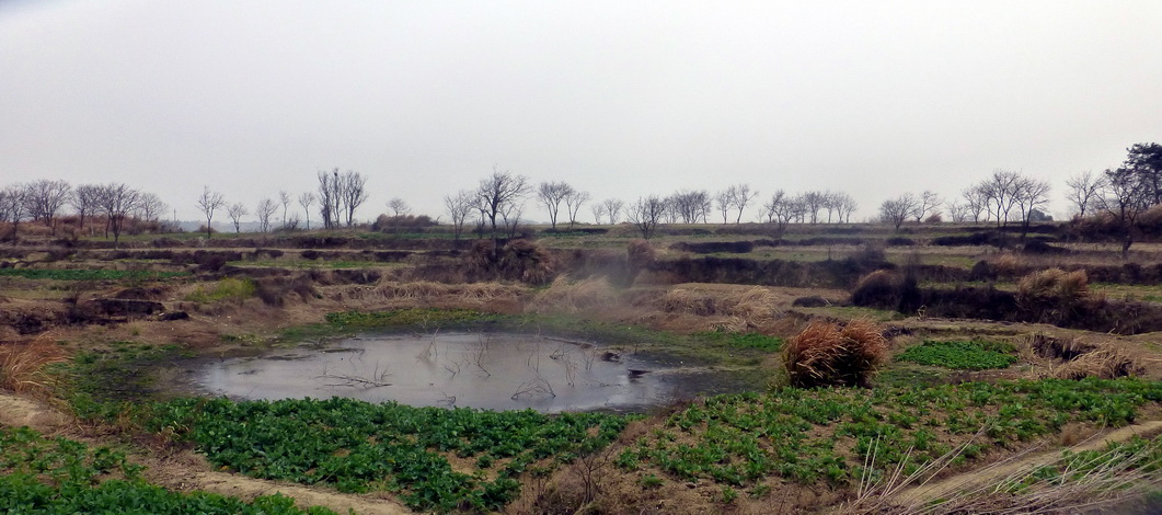 p1180034.jpg