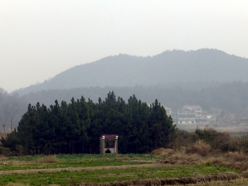 p1180045.jpg