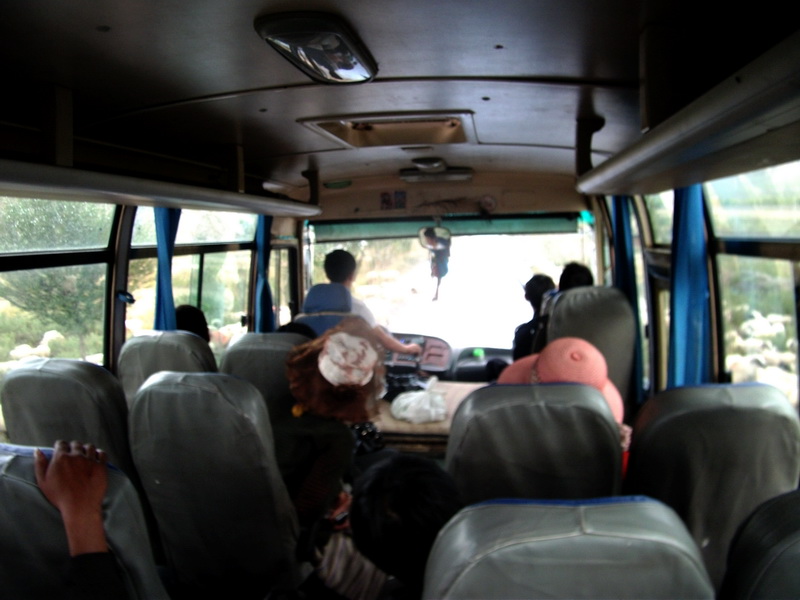 dscf0795.jpg