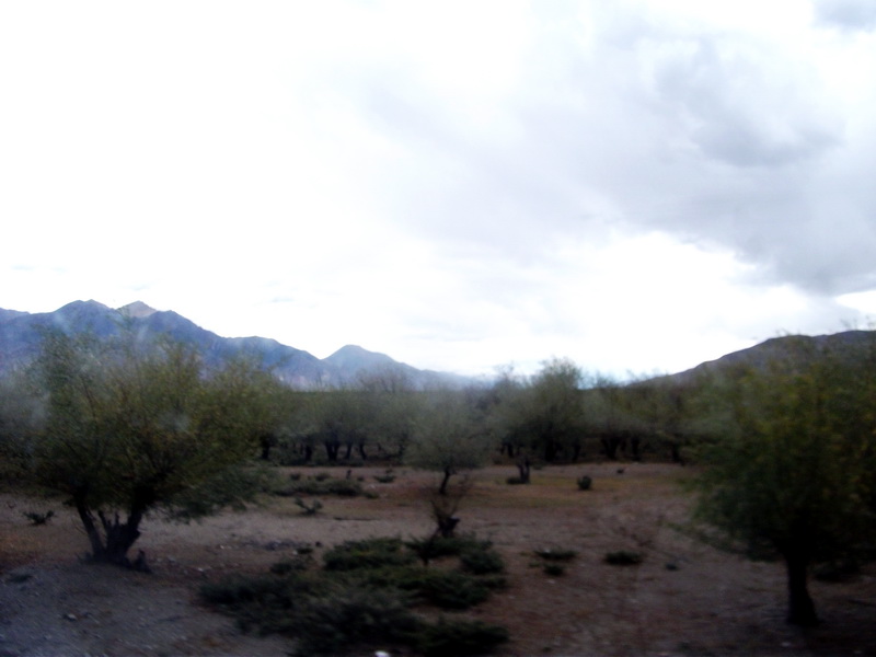 dscf0802.jpg