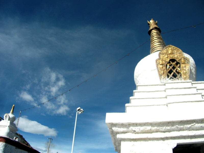 dscf0815.jpg