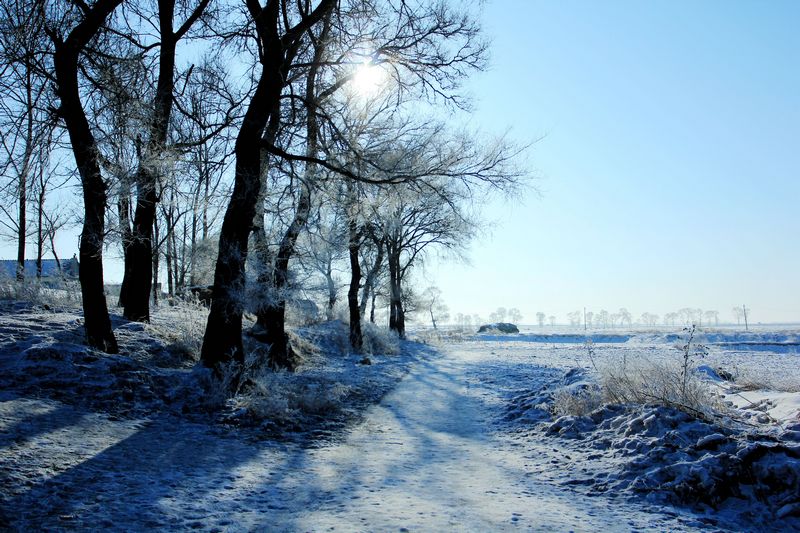 img_6863.jpg