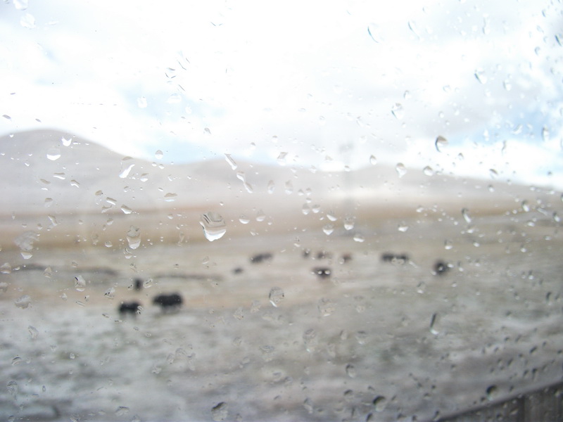 dscf0840.jpg