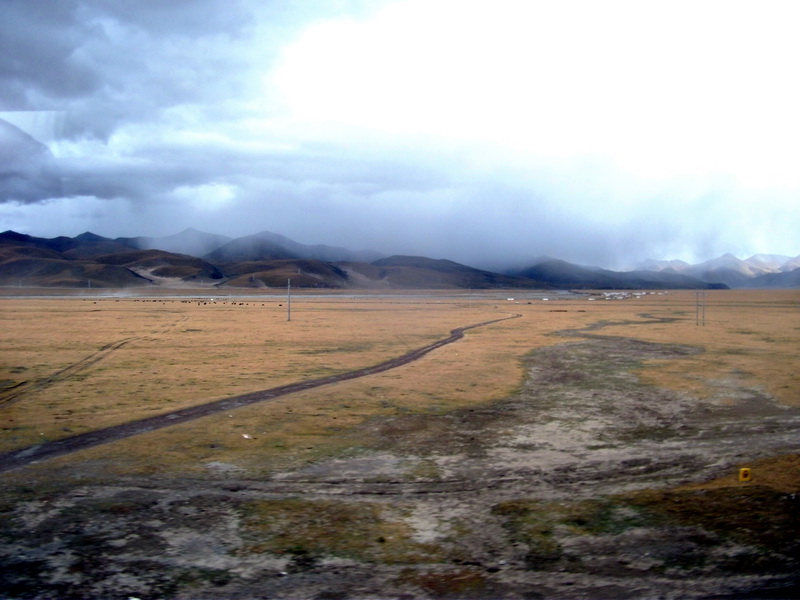 dscf0844.jpg