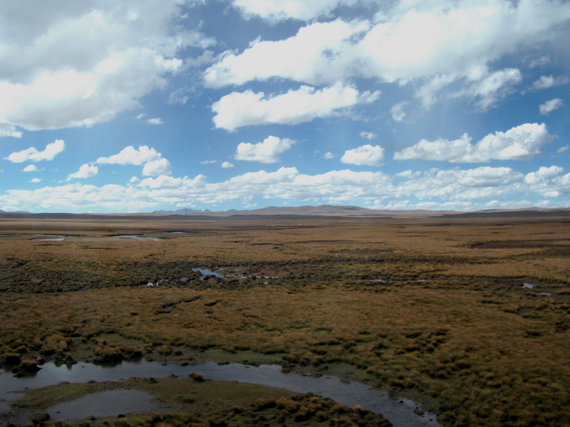 dscf0855.jpg