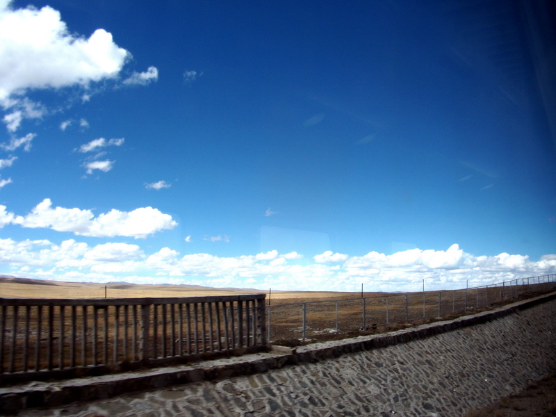 dscf0860.jpg
