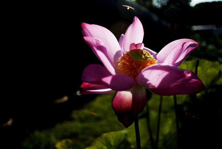 _mg_4552.jpg