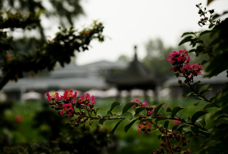 _mg_4647.jpg